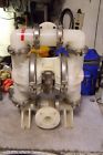 M4-pppt-tf-tfpts 04-5701 Wilden 1-1-2 Teflon Double