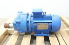 1-1-2x1-1-2in 43sx020w9k0a0 Nash Vacuum Pump