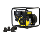 66526 Champion Chemical Pump 2 896682000014