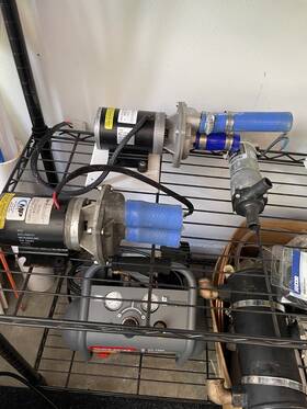 29924 March Pump 12 Vdc P/n