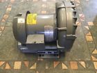 R3305a-1 Gast New Old Stock