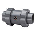 Tc20200ste Hayward 2 Check Valve