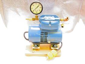917ba22 Thomas Vacuum/compressor Pump By Ind