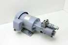 Top-220hwmvb Nippon Trochoid Pump Induction Motor