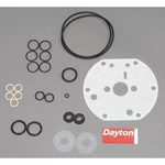 Dayton 6PY78 Pump Repair Kit,. Fixed Price $96.79.