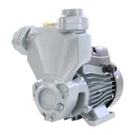 Pearl Self-priming Peripheral Pump Psp 0.5HP, 110V W/ Control Mini Flow Press. Fixed Price $538.99.