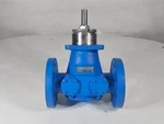 Viking 3" 300# Gear Pump AS493. Fixed Price $5999.00.