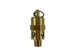 Kingston 1/8 Npt Brass Soft Seat Pressure Relief Valve 120 Psi 106 Scfm. Fixed Price $18.34.