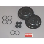 Dayton 6PY67 Pump Repair Kit, Fluid. Fixed Price $148.99.