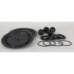 Dayton 22A617 Pump Repair Kit, Fluid, In., For 3HJX2. Fixed Price $327.99.