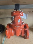 Mueller A-2361 4 In. Mechanical Joint Flanged Ductile Iron Open Left Gate Valve. Fixed Price $649.60.