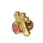 Procon 141A060F11CA - 3/8" Npt Low Lead Brass Rotary Vane Pump. Fixed Price $137.99.