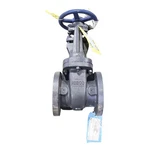 Nibco 3" F-617-O 125 Ff Gt Cast Iron Full Port Flanged Gate Valve. Fixed Price $699.75.