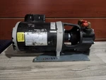 Gast 0870-P108A-G515AX Vacuum Pump Motor Emerson TA55JXED-365 ( Nos)??. Fixed Price $250.00.