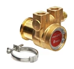 Procon 102A140F11PA Brass Rotary Vane Pump, 3/8" Nptf, 154 Gph. Fixed Price $179.99.
