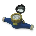 Pulsafeeder MTR300 Flowmeter, Inline, 52 Gpm, 1 In.. Fixed Price $418.99.