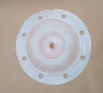 Aro 93111 Replacement Diaphragm,ptfe,for 1/2" Pumps. Fixed Price $59.62.