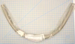 440115 / NW-25 Braided Flex Coupling, 48"LG, KFRL-100-48F2 Mdc Vacuum Products. Fixed Price $350.77.