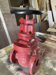 200 Lbs Gate Valve, Flanged, Carbon Steel. Fixed Price $125.00.