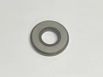 Graco 15F665 Ball Seat Carbide. Fixed Price $122.50.