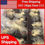 Us Stock Rexroth Plunger Pump A10VSO18DR/31R-PPA12N00 R910942503 Fast Delivery. Fixed Price $1704.65.