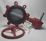 Bray 6" Butterfly Valve With Wheel (see Photos And Description). Fixed Price $369.99.