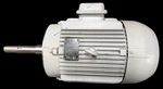 Weg 8LCP10-215JP Pump Motor Hp 1760 Rpm Tefc IP55 208-230/460V Phase. Fixed Price $599.99.
