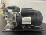 Weg 3/4HP Jet Pump Motor 3500 Rpm 115/208-230 Vac 7536ES1BJP56J-S #15373. Fixed Price $220.00.