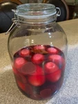 Airtight Glass Storage Jars With Lid 1 Gallon Large Mason Best In Quality. Fixed Price $29.50.