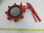 Bray Series Butterfly Valve, 6", IA0313. Fixed Price $329.95.
