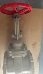 Warren For 1156 Flanged Gate Valve Stainless Steel CF8M 150LB 316. Fixed Price $599.00.