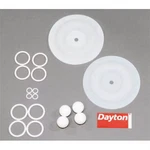 Dayton 6PY72 Pump Repair Kit, Fluid. Fixed Price $224.99.