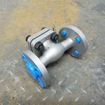 Ladish 5372-3051-AT05-B07B 3/4" Check Valve, 300 Class, CF8M Body, Obtu. Fixed Price $126.34.
