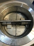 Crane Duo-chek 6 In. Wcb Cast Iron Wafer Check Valve. Fixed Price $388.00.