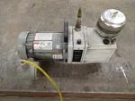 Fisher Scientific M12C Maxima Plus Vacuum Pump W/ Dayton 1/2 Hp 1-PHASE Motor. Fixed Price $300.00.