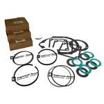 Ingersoll Rand 32213613 Oem Ring Gasket Kit For The 15V Vacuum Pump -. Fixed Price $310.27.