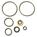 Ace Pumps Hydraulic Repair Kit For Motors Only (check Description). Fixed Price $74.95.