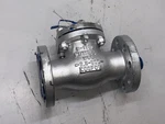 Powell Valves Fig 3061 2-1/2" Swing Check 300# Flanged Carbon Steel Wcb. Fixed Price $731.96.