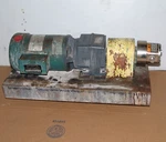 Roper Roc Stainless Gear Pump 01SS1PTYDJOLW. Fixed Price $390.00.