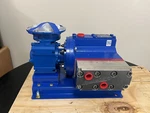 Wanner Hydra-cell P300 Series. Fixed Price $2000.00.
