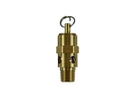 Kingston 1/4 Npt Brass Soft Seat Pressure Relief Valve 120 Psi 106 Scfm. Fixed Price $18.34.