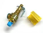 Steamer Safety Valve 100 Psi Conbraco Part Pressure Release 1/2" Npt. Fixed Price $465.95.