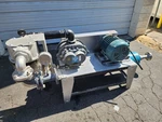 Novatec VPDB-10 W/ Roots Rotary Lobe Industrial Vacuum Pump 10HP 170CFM + Filter. Fixed Price $6000.00.