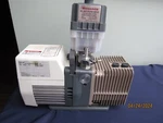 Thermo Fisher Scientific 6821 P100 Rotary Vacuum Pump 1PH 115/230V-AC. Fixed Price $388.00.