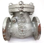 Newco Mfd By Jinn Lung, Steel Valve Div, Fig 31F-CB2, 2", Check. Fixed Price $70.00.