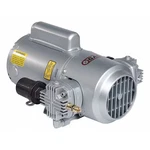 Gast 4HCC-10-M450X Standard Piston Pump. Fixed Price $1221.99.