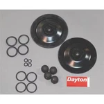 Dayton 6PY65 Pump Repair Kit, Fluid. Fixed Price $128.99.